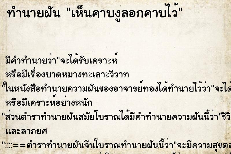 ทำนายฝัน เห็นคาบงูลอกคาบไว้ ทำนายฝัน เห็นคาบงูลอกคาบไว้