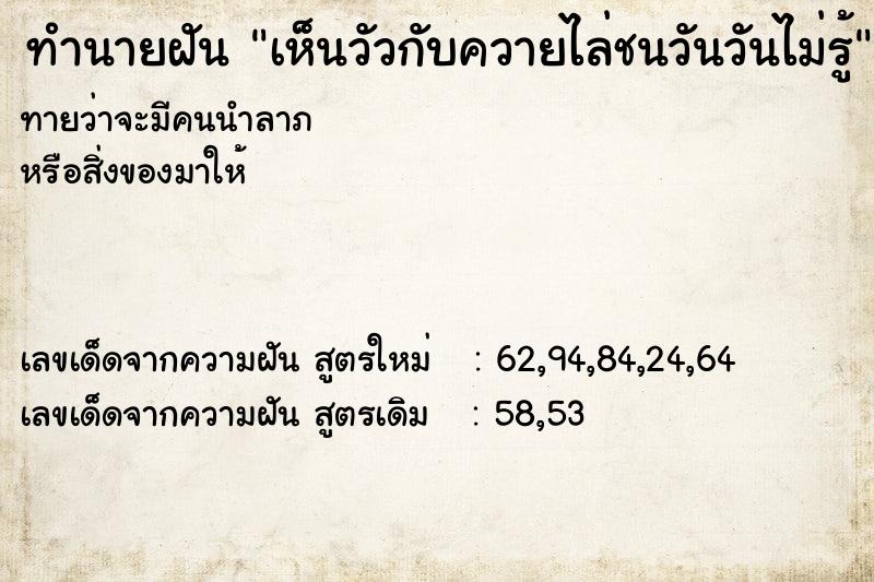 ทำนายฝันทำนายฝันเห็นวัวกับควายไล่ชนวันวันไม่รู้