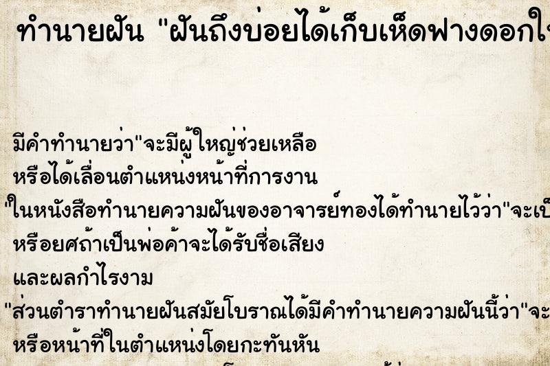 ทำนายฝัน ฝันถึงบ่อยได้เก็บเห็ดฟางดอกใหญ่ ทำนายฝัน ฝันถึงบ่อยได้เก็บเห็ดฟางดอกใหญ่