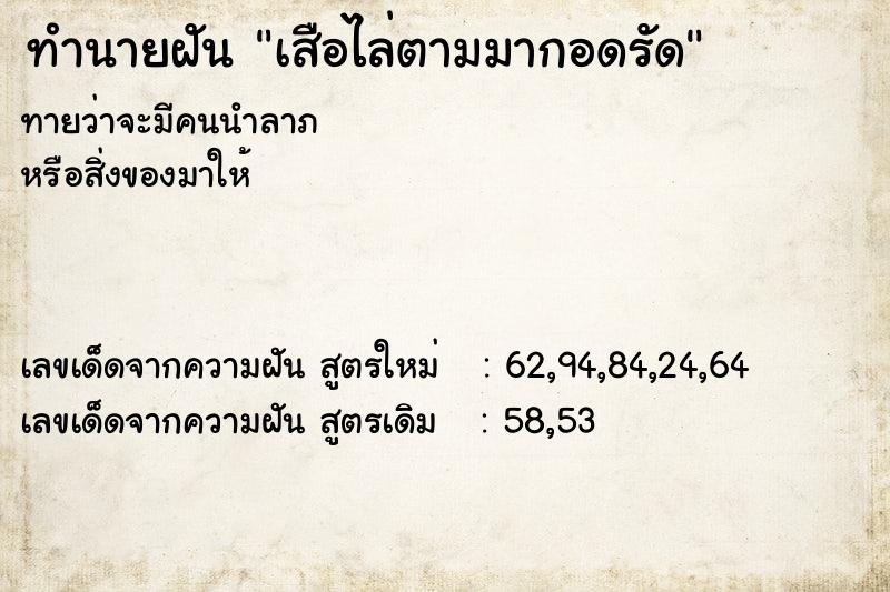 ทำนายฝันเสือไล่ตามมากอดรัด ทำนายฝันทำนายฝันเสือไล่ตามมากอดรัด