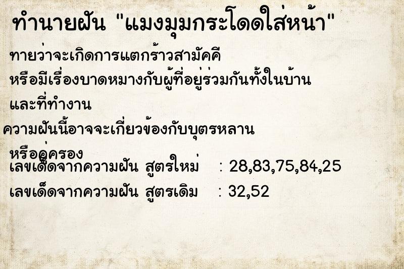 ทำนายฝัน แมงมุมกระโดดใส่หน้า ทำนายฝัน แมงมุมกระโดดใส่หน้า