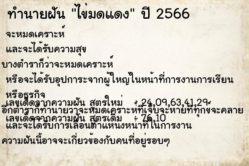 ทำนายฝัน ไข่มดแดง แม่นๆ ฟรี ด้วยตำราหนังสือทำนายฝันโบราณ ทำนายฝันไข่มดแดง