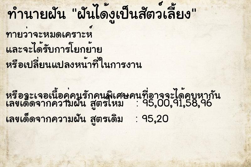 ทำนายฝัน ฝันได้งูเป็นสัตว์เลี้ยง ทำนายฝัน ฝันได้งูเป็นสัตว์เลี้ยง