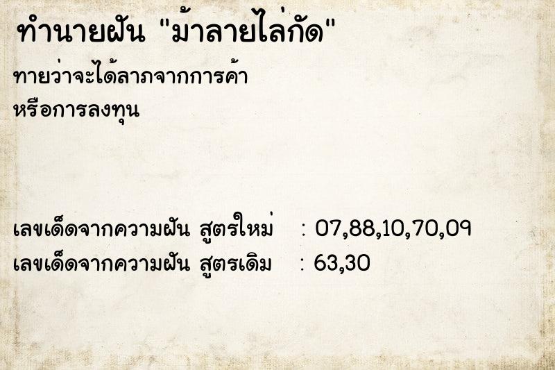 ทำนายฝัน ม้าลายไล่กัด
