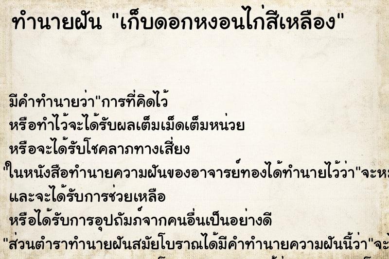 ทำนายฝันเก็บดอกหงอนไก่สีเหลือง ทำนายฝันทำนายฝันเก็บดอกหงอนไก่สีเหลือง