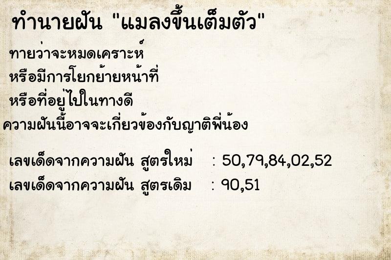 ทำนายฝันทำนายฝันแมลงขึ้นเต็มตัว