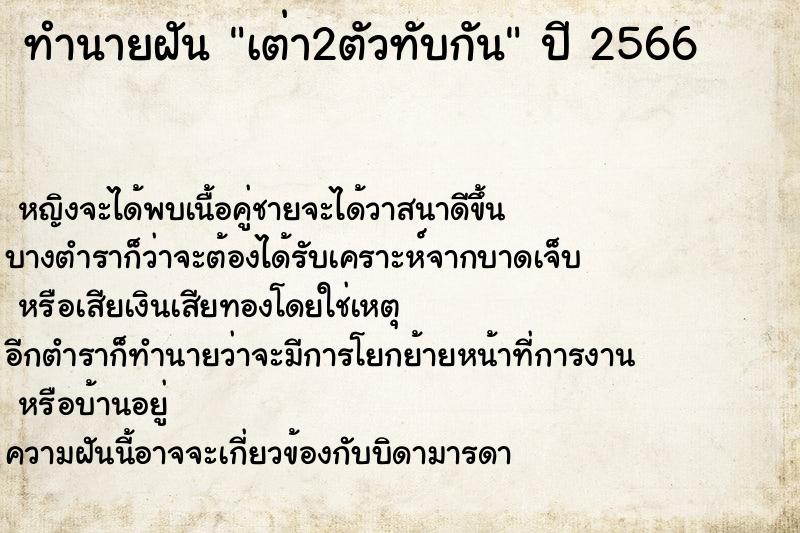 ทำนายฝันทำนายฝันเต่า2ตัวทับกัน