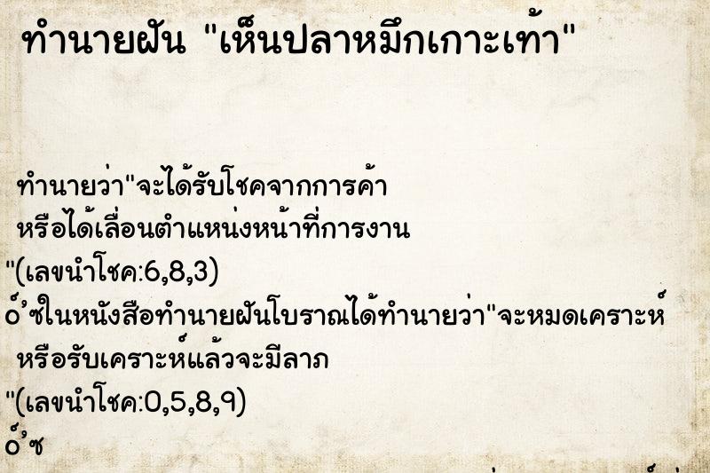 ทำนายฝันทำนายฝันเห็นปลาหมึกเกาะเท้า