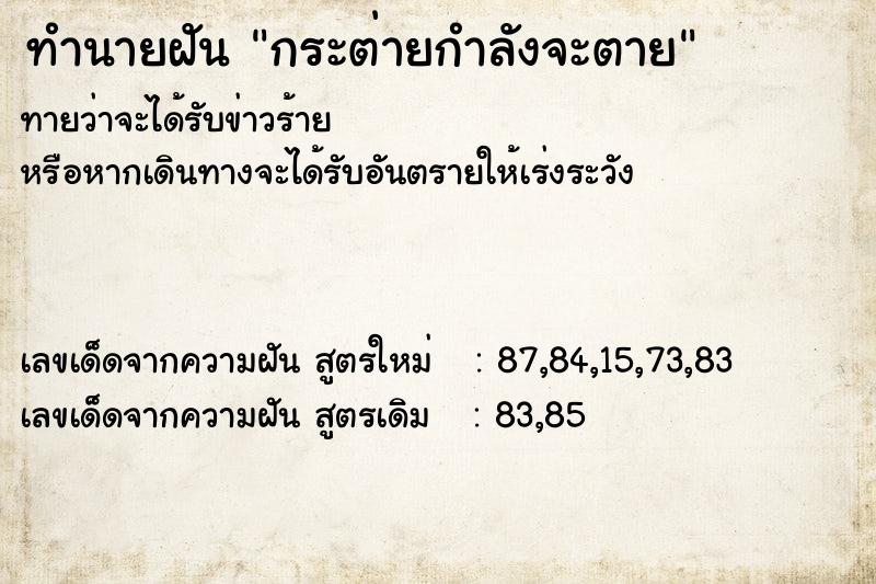 ทำนายฝันกระต่ายกำลังจะตาย ทำนายฝันทำนายฝันกระต่ายกำลังจะตาย