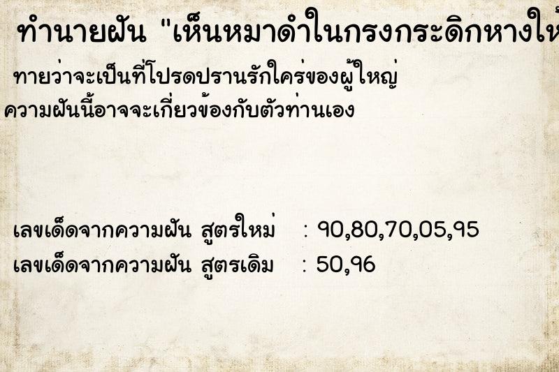 ทำนายฝันเห็นหมาดำในกรงกระดิกหางให้ ทำนายฝันทำนายฝันเห็นหมาดำในกรงกระดิกหางให้