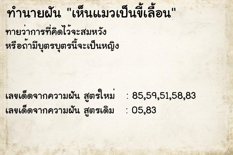 ทำนายฝันทำนายฝันเห็นแมวเป็นขี้เลื้อน