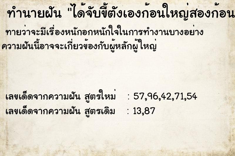 ทำนายฝันทำนายฝันได้จับขี้ตังเองก้อนใหญ่สองก้อน