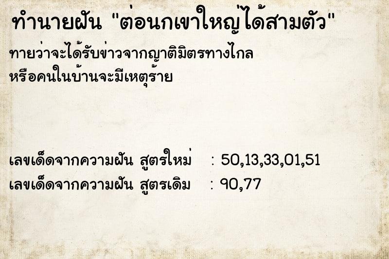 ทำนายฝันทำนายฝันต่อนกเขาใหญ่ได้สามตัว