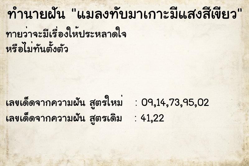 ทำนายฝันทำนายฝันแมลงทับมาเกาะมีแสงสีเขียว