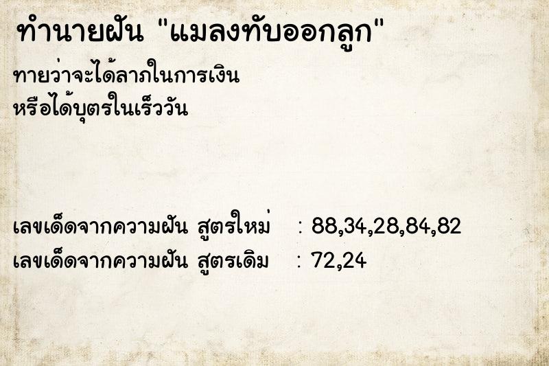 ทำนายฝันทำนายฝันแมลงทับออกลูก