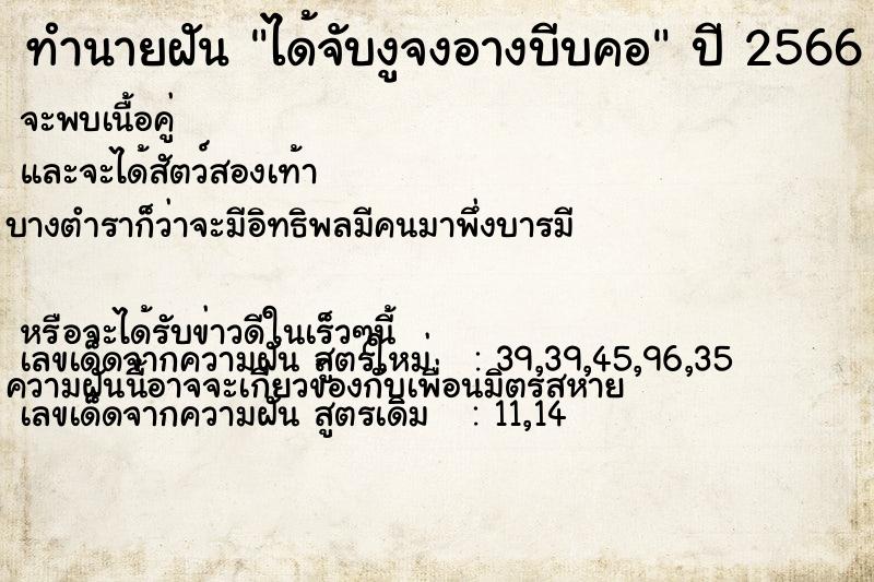 ทำนายฝันได้จับงูจงอางบีบคอ ทำนายฝันทำนายฝันได้จับงูจงอางบีบคอ