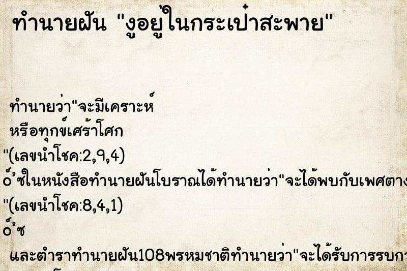 ทำนายฝัน งูอยู่ในกระเป๋าสะพาย ทำนายฝัน งูอยู่ในกระเป๋าสะพาย