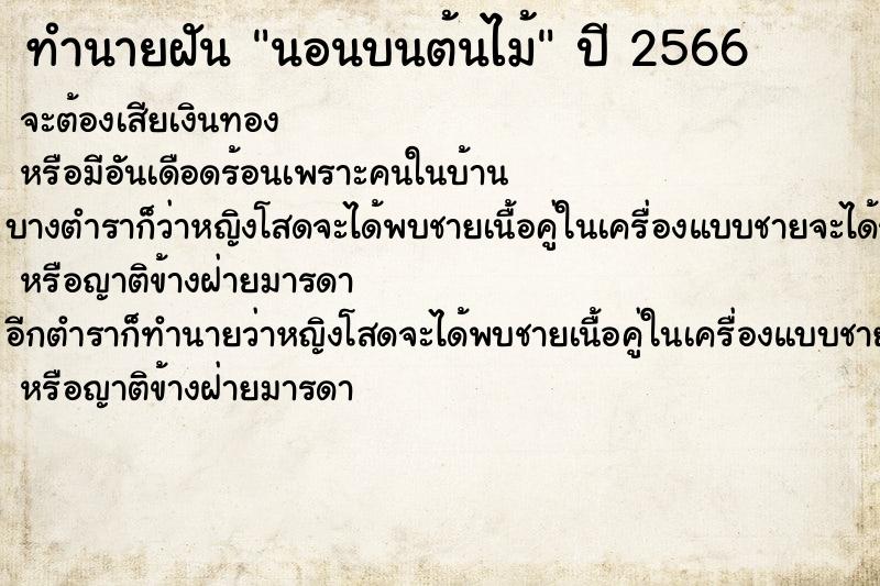 ทำนายฝันนอนบนต้นไม้ ทำนายฝันทำนายฝันนอนบนต้นไม้