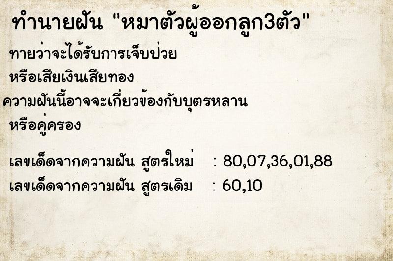 ทำนายฝันทำนายฝันหมาตัวผู้ออกลูก3ตัว