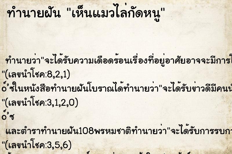 ทำนายฝันเห็นแมวไล่กัดหนู ทำนายฝันทำนายฝันเห็นแมวไล่กัดหนู