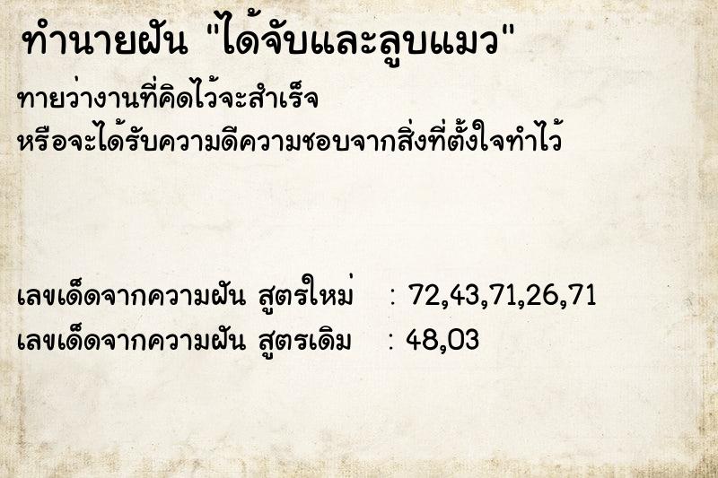 ทำนายฝัน ได้จับและลูบแมว ทำนายฝัน ได้จับและลูบแมว