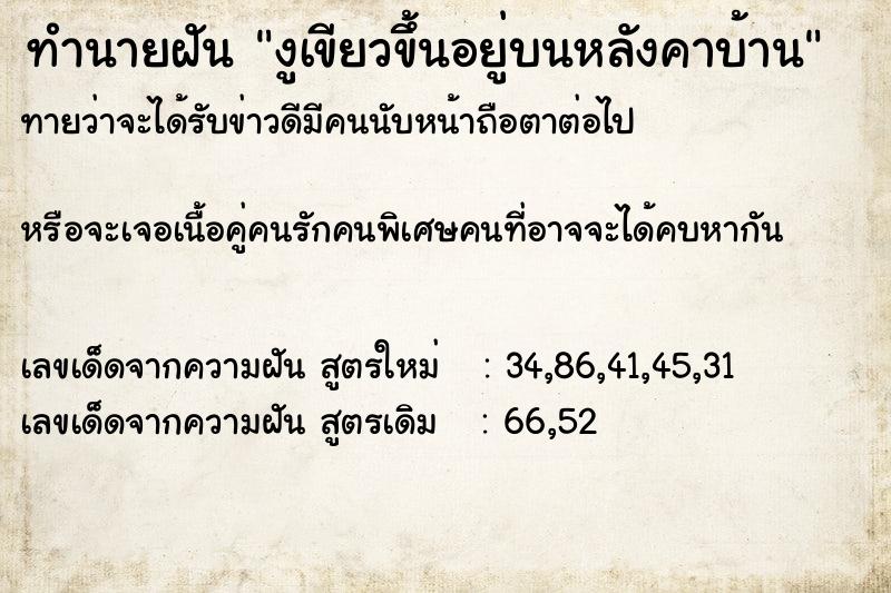 ทำนายฝัน งูเขียวขึ้นอยู่บนหลังคาบ้าน ทำนายฝัน งูเขียวขึ้นอยู่บนหลังคาบ้าน