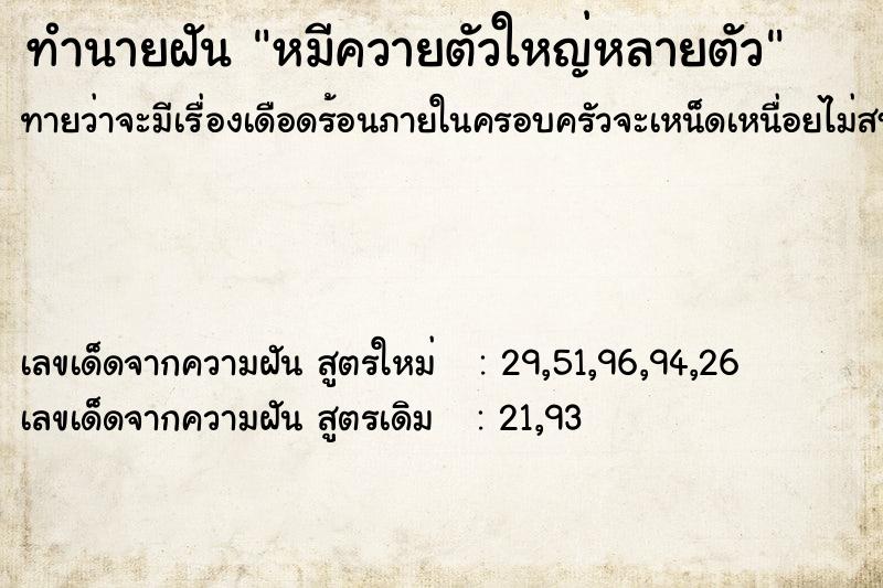 ทำนายฝันทำนายฝันหมีควายตัวใหญ่หลายตัว