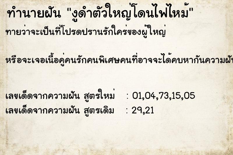 ทำนายฝันงูดำตัวใหญ่โดนไฟไหม้ ทำนายฝันทำนายฝันงูดำตัวใหญ่โดนไฟไหม้