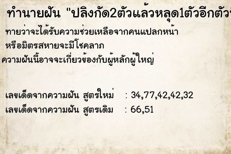 ทำนายฝันทำนายฝันปลิงกัด2ตัวแล้วหลุด1ตัวอีกตัวนึงกัดติดอยู่ที่ขา