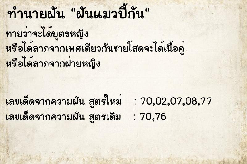 ทำนายฝันฝันแมวปี้กัน ทำนายฝันทำนายฝันฝันแมวปี้กัน
