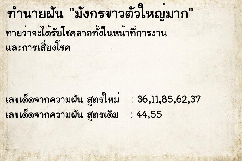 ทำนายฝันทำนายฝันมังกรขาวตัวใหญ่มาก