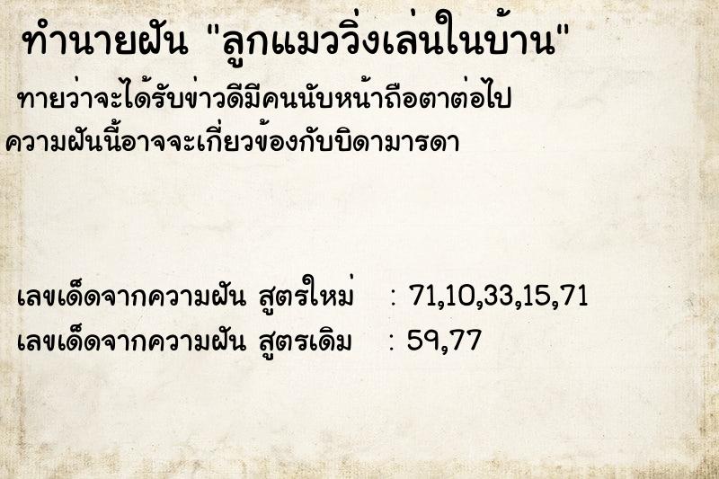 ทำนายฝันลูกแมววิ่งเล่นในบ้าน ทำนายฝันทำนายฝันลูกแมววิ่งเล่นในบ้าน