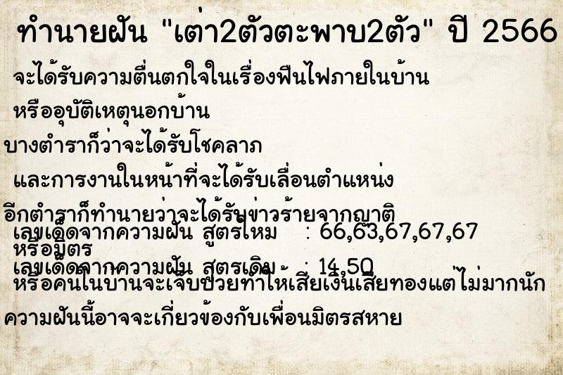ทำนายฝันทำนายฝันเต่า2ตัวตะพาบ2ตัว
