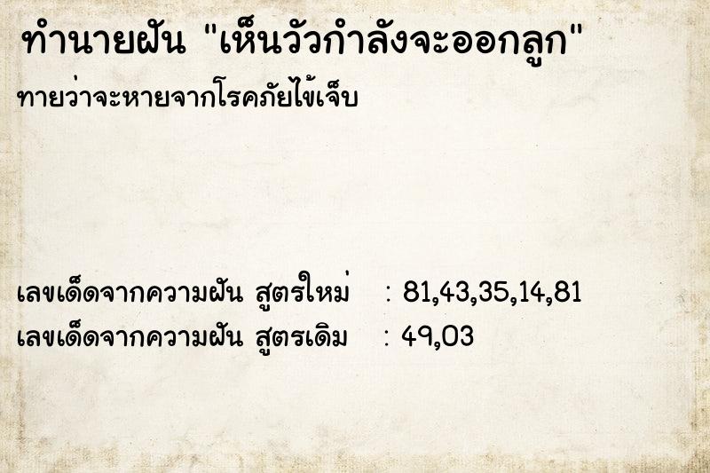 ทำนายฝันทำนายฝันเห็นวัวกำลังจะออกลูก