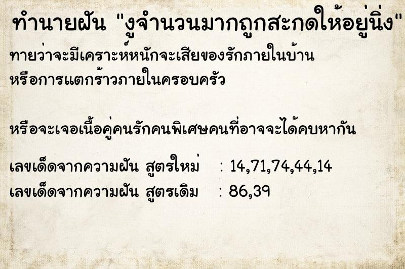 ทำนายฝันงูจำนวนมากถูกสะกดให้อยู่นิ่ง ทำนายฝันทำนายฝันงูจำนวนมากถูกสะกดให้อยู่นิ่ง