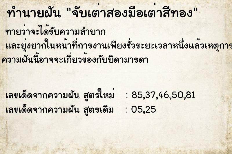 ทำนายฝันทำนายฝันจับเต่าสองมือเต่าสีทอง