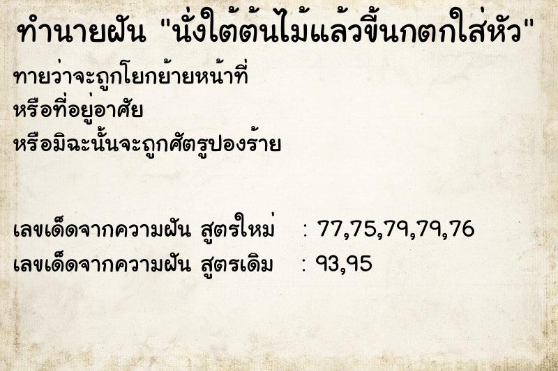 ทำนายฝันนั่งใต้ต้นไม้แล้วขี้นกตกใส่หัว ทำนายฝันทำนายฝันนั่งใต้ต้นไม้แล้วขี้นกตกใส่หัว