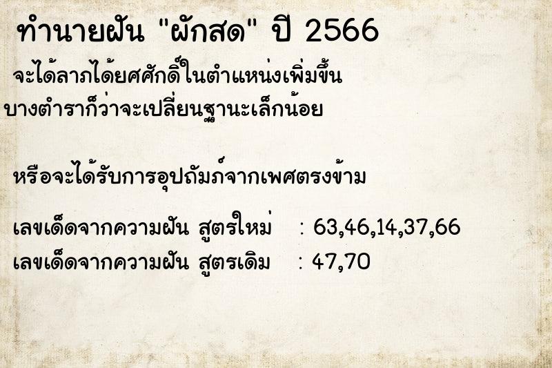 ทำนายฝัน ผักสด ทำนายฝัน ผักสด