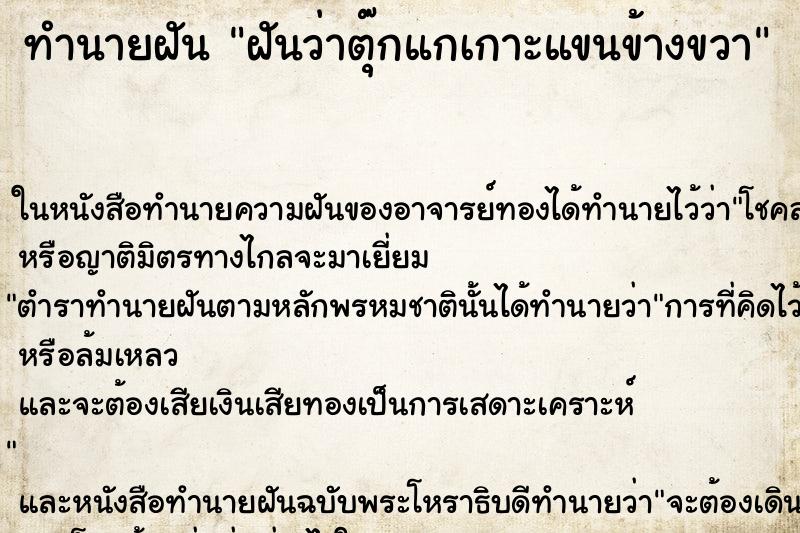 ทำนายฝัน ฝันว่าตุ๊กแกเกาะแขนข้างขวา ทำนายฝัน ฝันว่าตุ๊กแกเกาะแขนข้างขวา