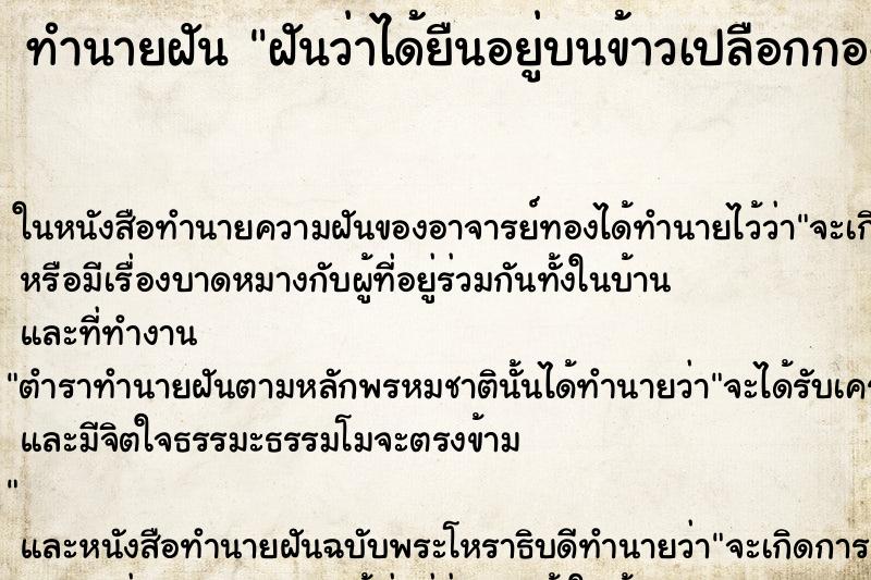 ทำนายฝันทำนายฝันฝันว่าได้ยืนอยู่บนข้าวเปลือกกองใหญ่