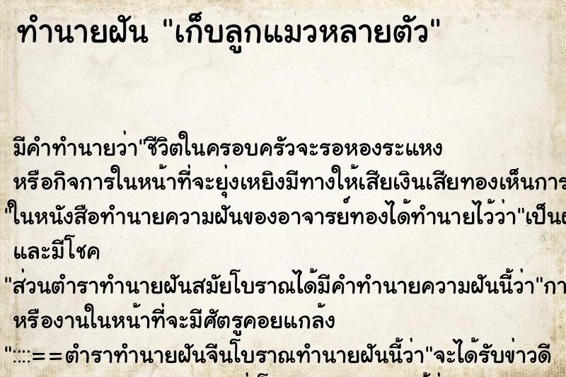 ทำนายฝันทำนายฝันเก็บลูกแมวหลายตัว