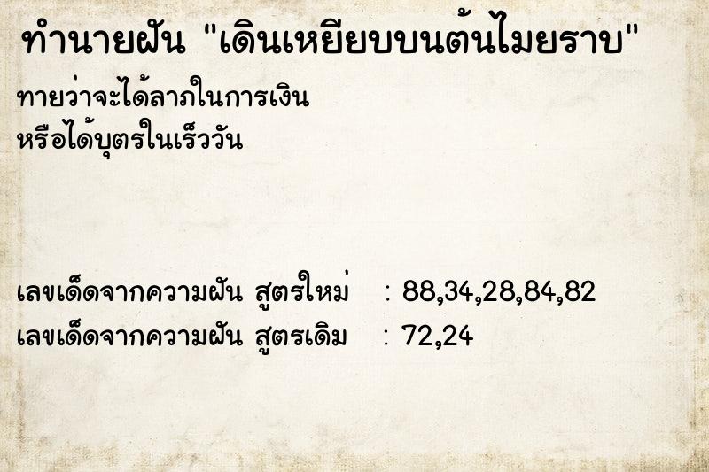 ทำนายฝันเดินเหยียบบนต้นไมยราบ ทำนายฝันทำนายฝันเดินเหยียบบนต้นไมยราบ