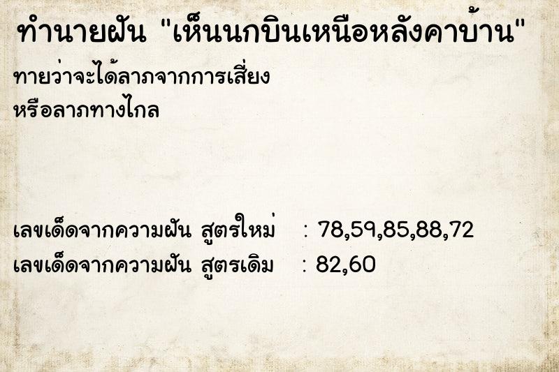 ทำนายฝันทำนายฝันเห็นนกบินเหนือหลังคาบ้าน