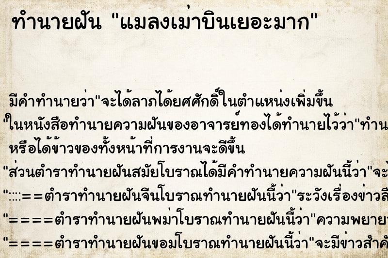 ทำนายฝัน แมลงเม่าบินเยอะมาก ทำนายฝัน แมลงเม่าบินเยอะมาก