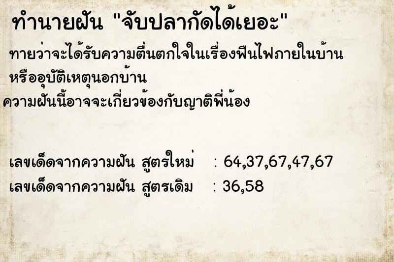 ทำนายฝันทำนายฝันจับปลากัดได้เยอะ