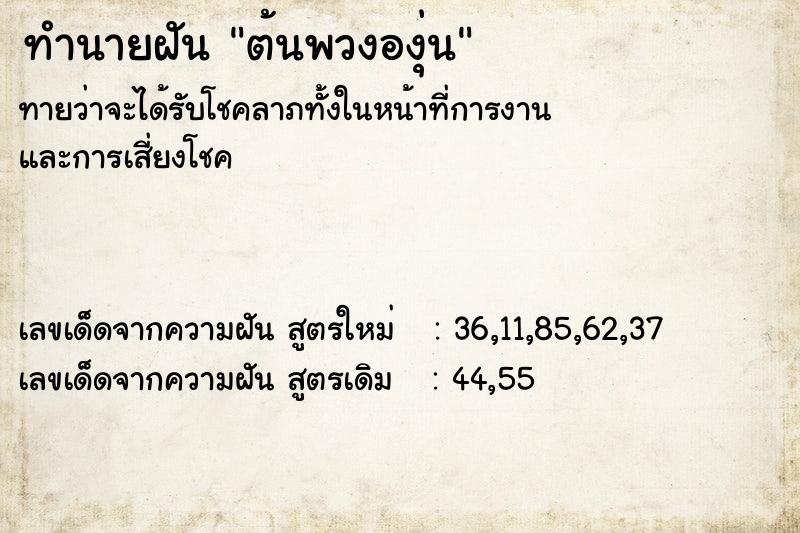 ทำนายฝันต้นพวงองุ่น ทำนายฝันทำนายฝันต้นพวงองุ่น
