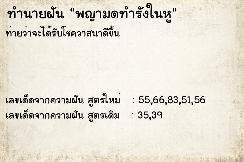 ทำนายฝันพญามดทำรังในหู ทำนายฝันทำนายฝันพญามดทำรังในหู