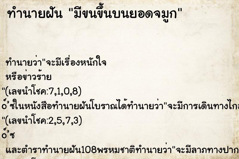 ทำนายฝันมีขนขึ้นบนยอดจมูก ทำนายฝันทำนายฝันมีขนขึ้นบนยอดจมูก