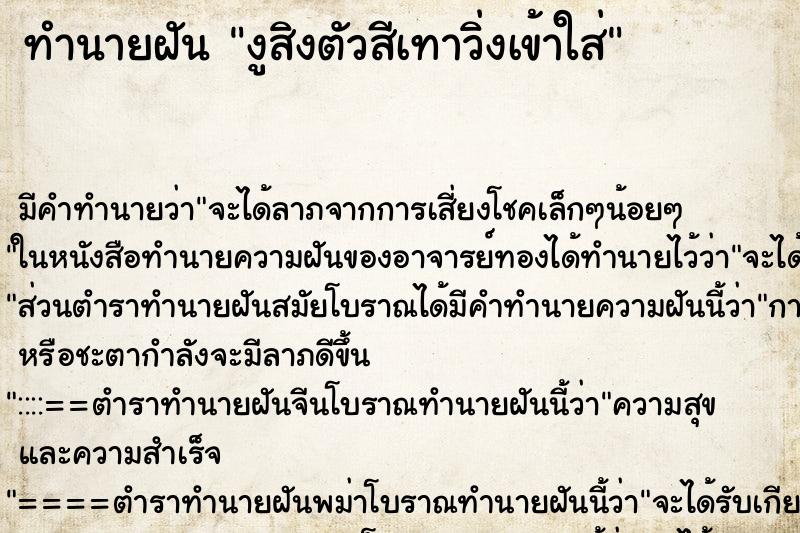 ทำนายฝันทำนายฝันงูสิงตัวสีเทาวิ่งเข้าใส่