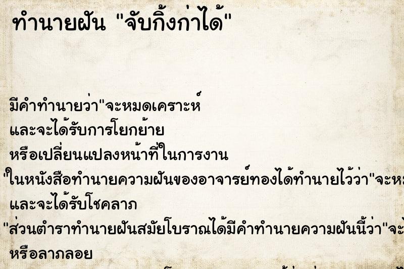 ทำนายฝัน จับกิ้งก่าได้ ทำนายฝัน จับกิ้งก่าได้
